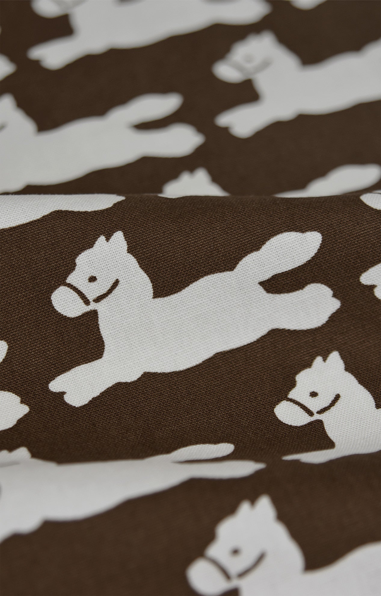 画像をスライド