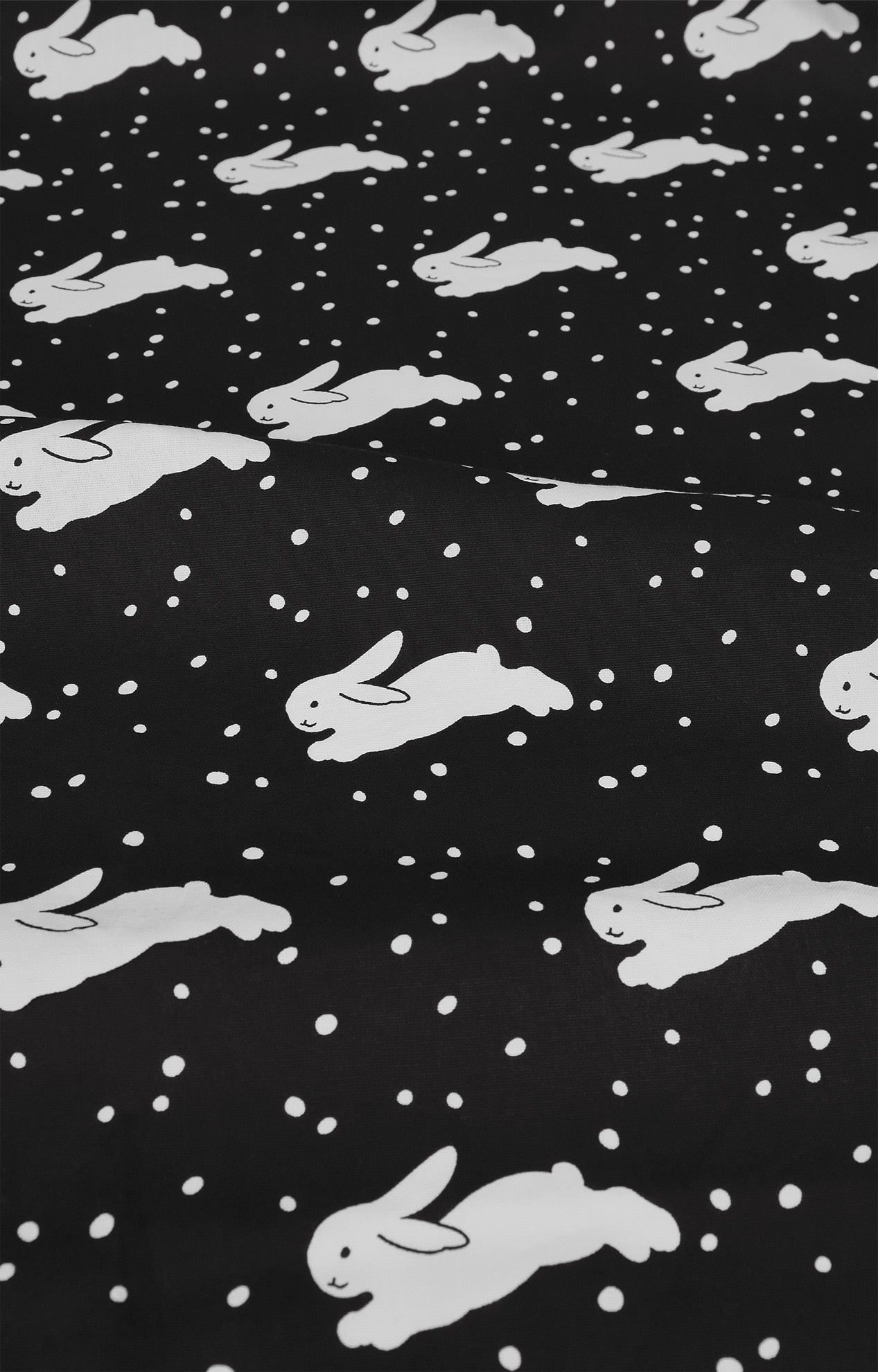 画像をスライド