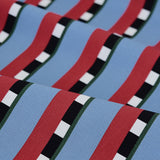 30 Goofy Stripe Cushion