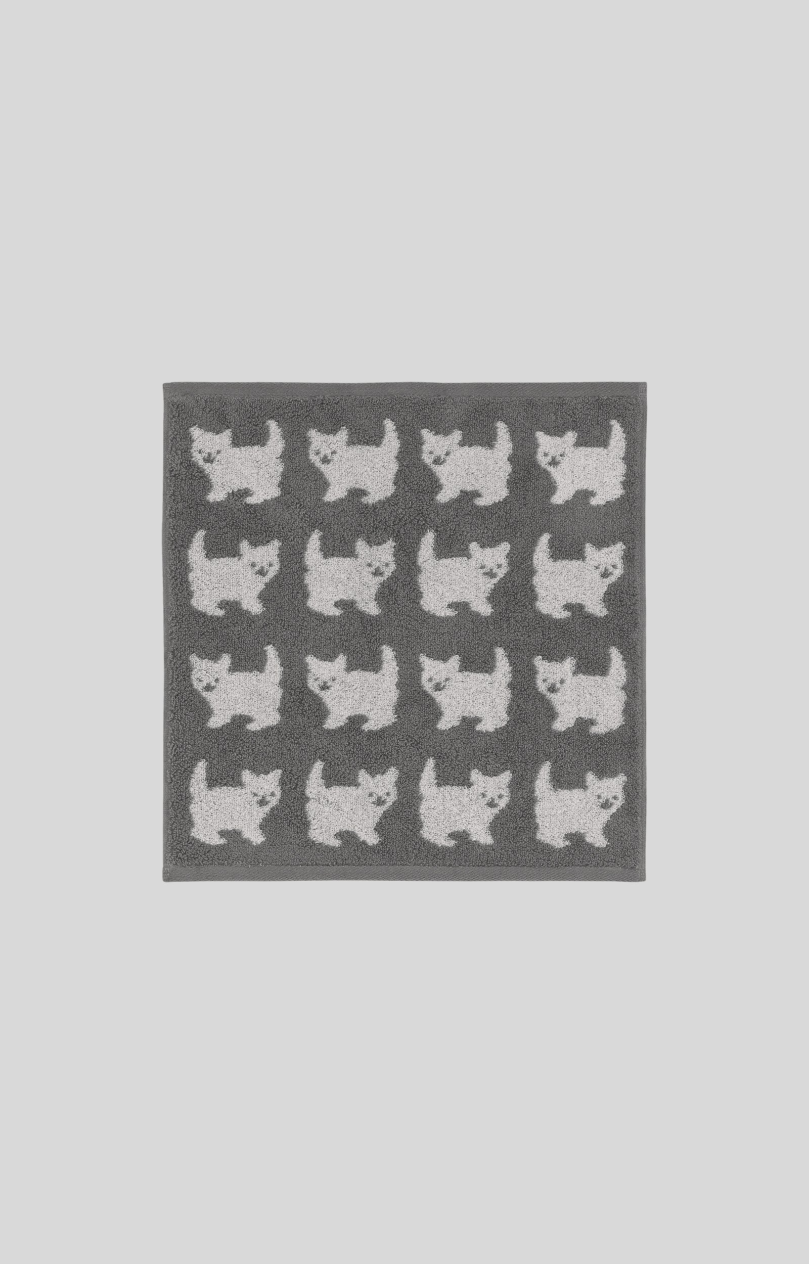 画像をスライド
