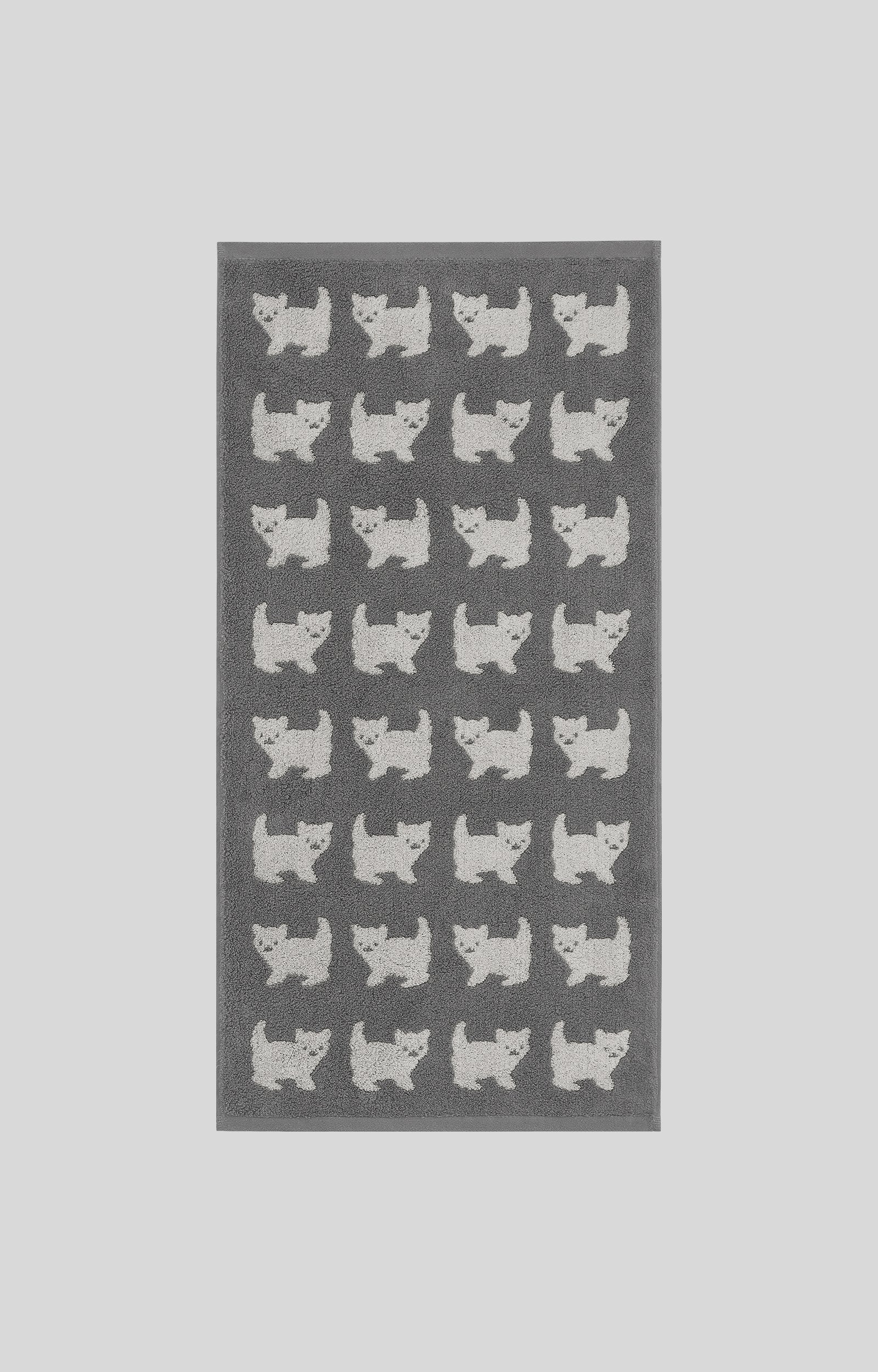画像をスライド