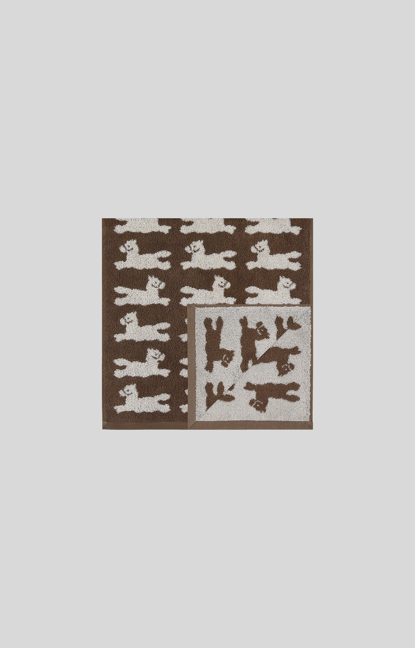 画像をスライド