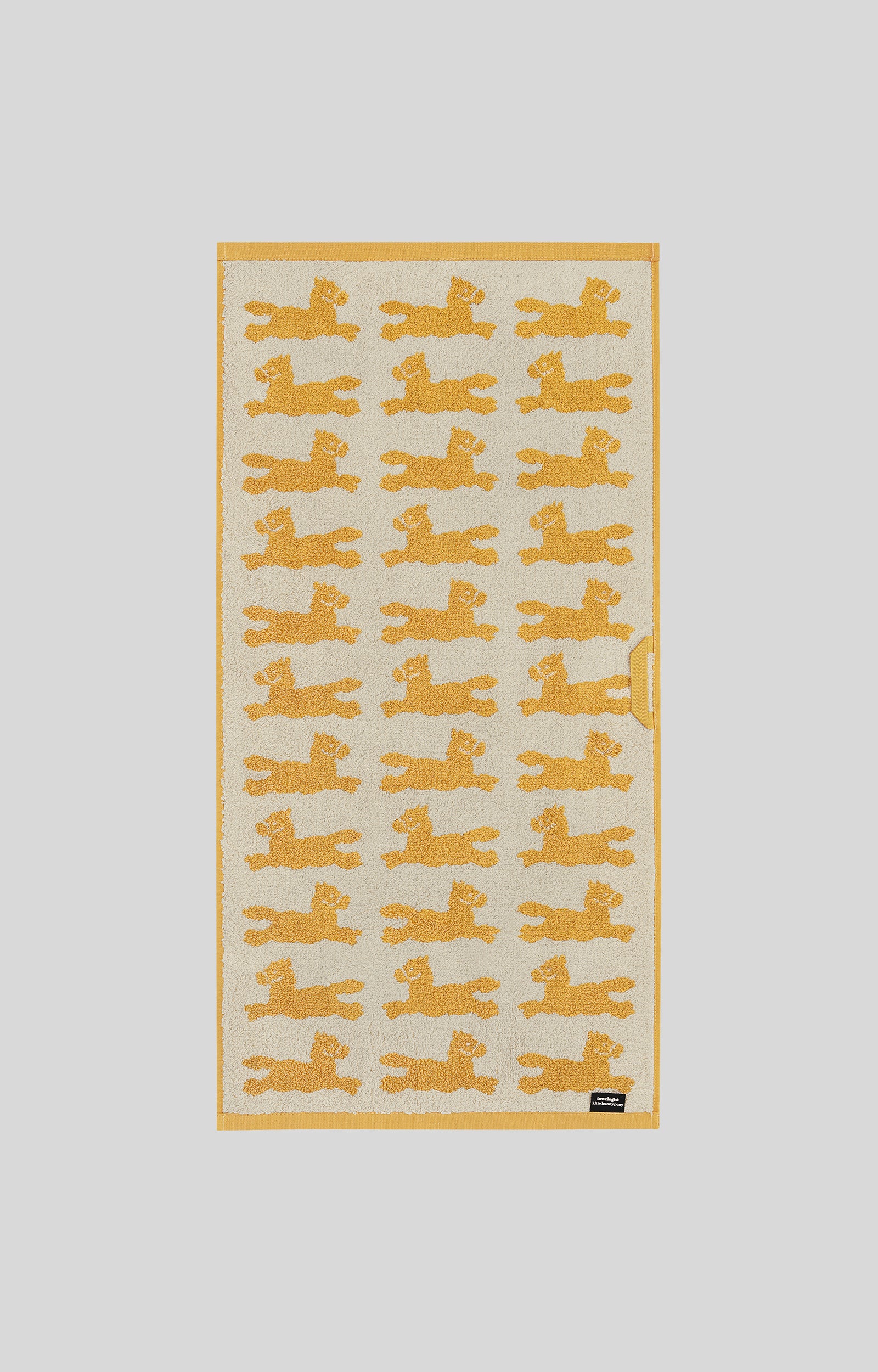 画像をスライド