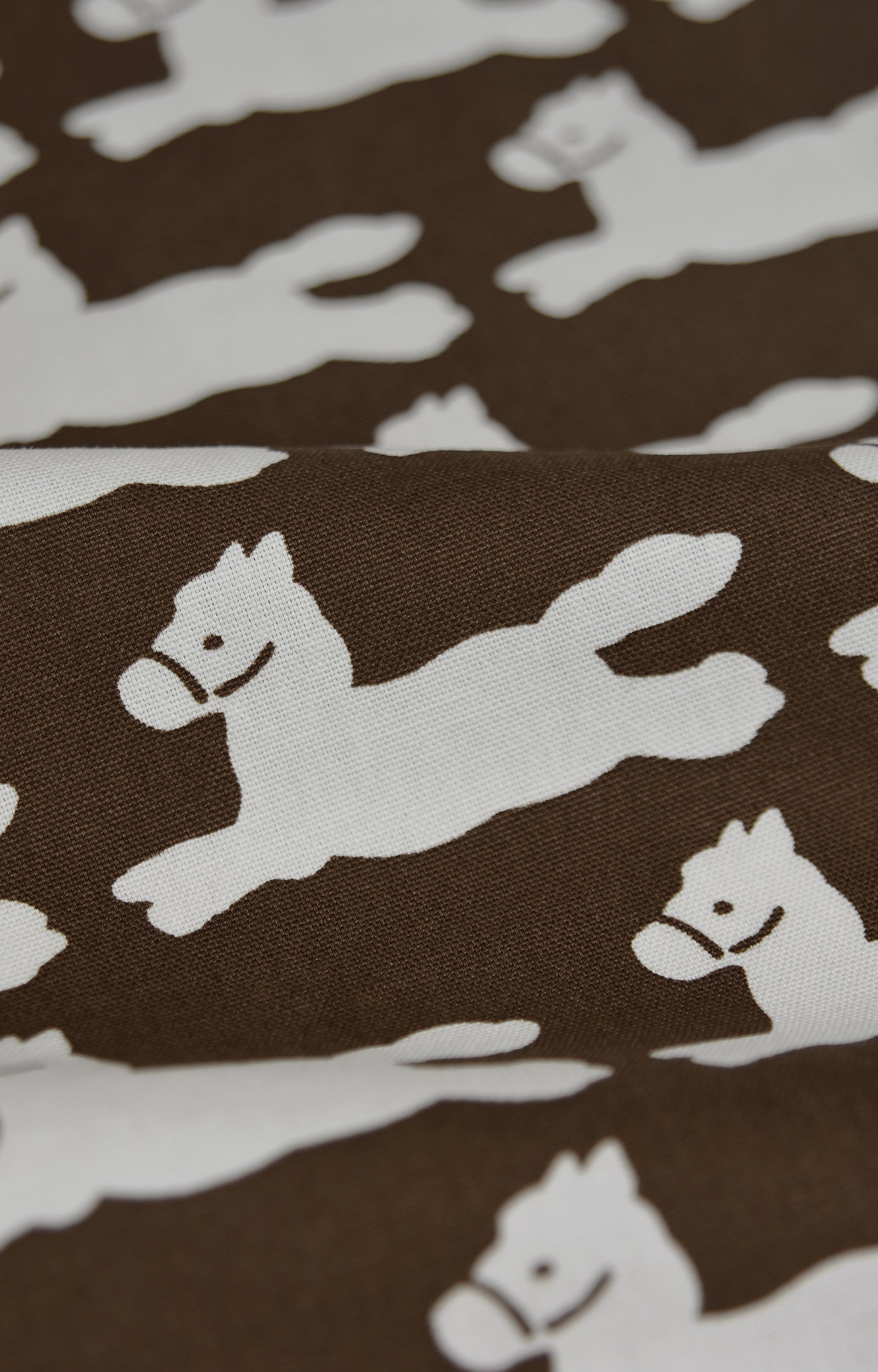 画像をスライド