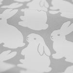 画像をスライド