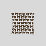 画像をスライド