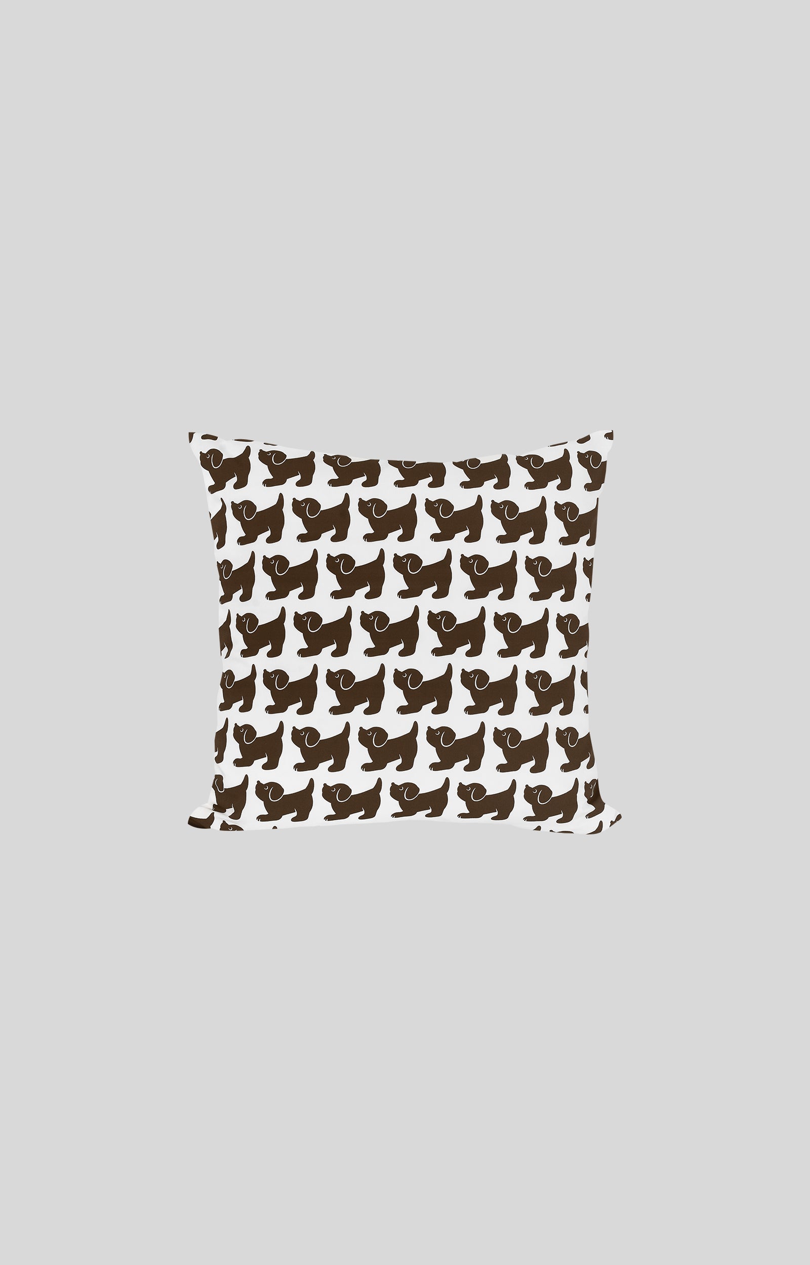 画像をスライド