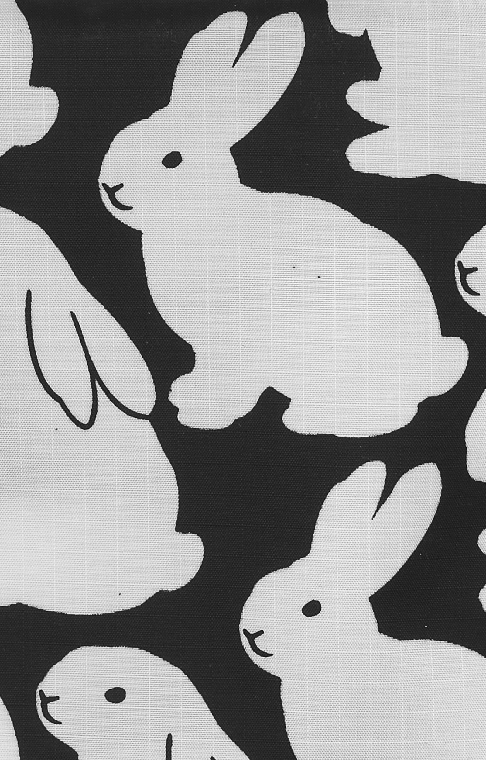 画像をスライド