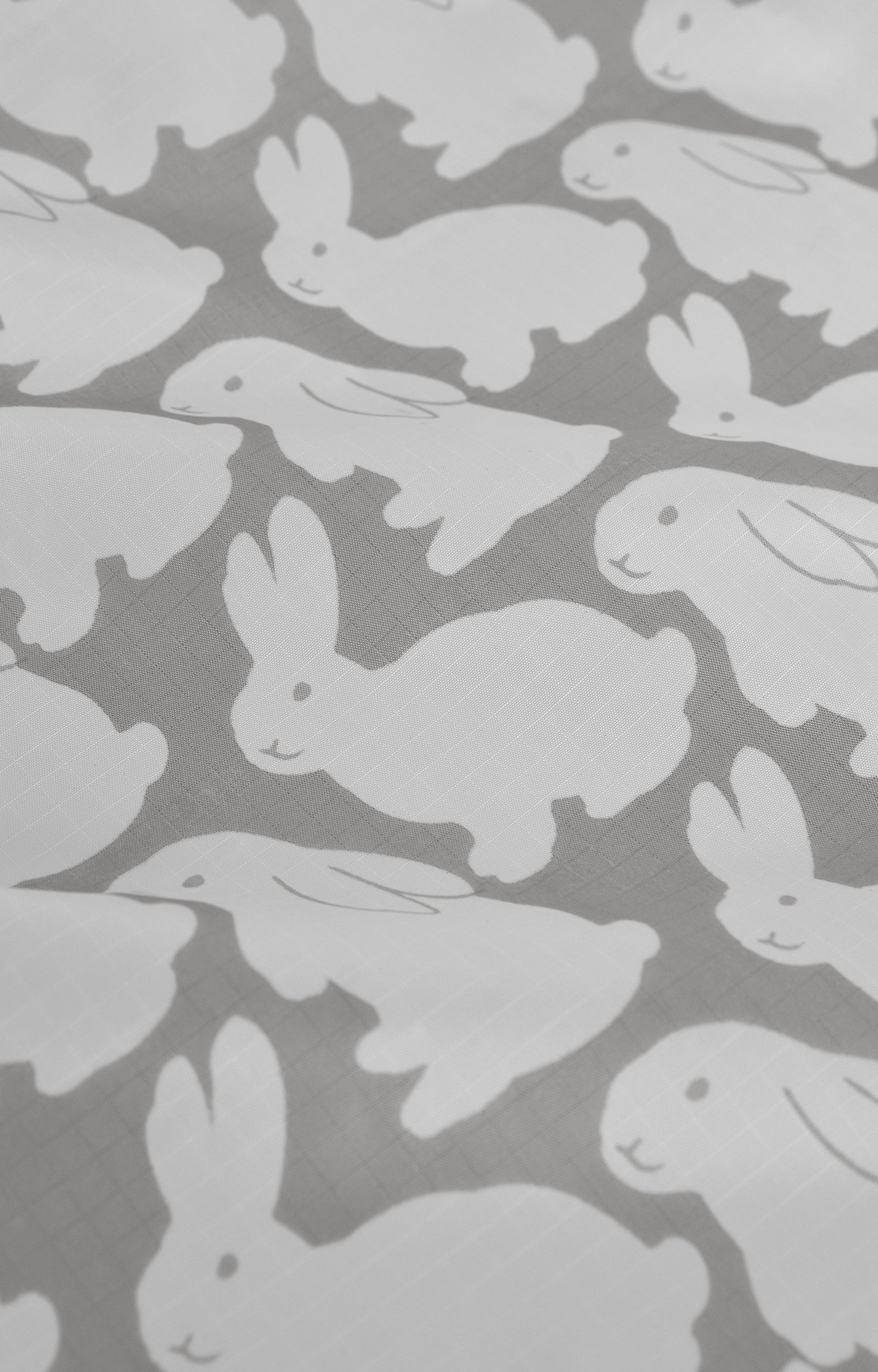 画像をスライド