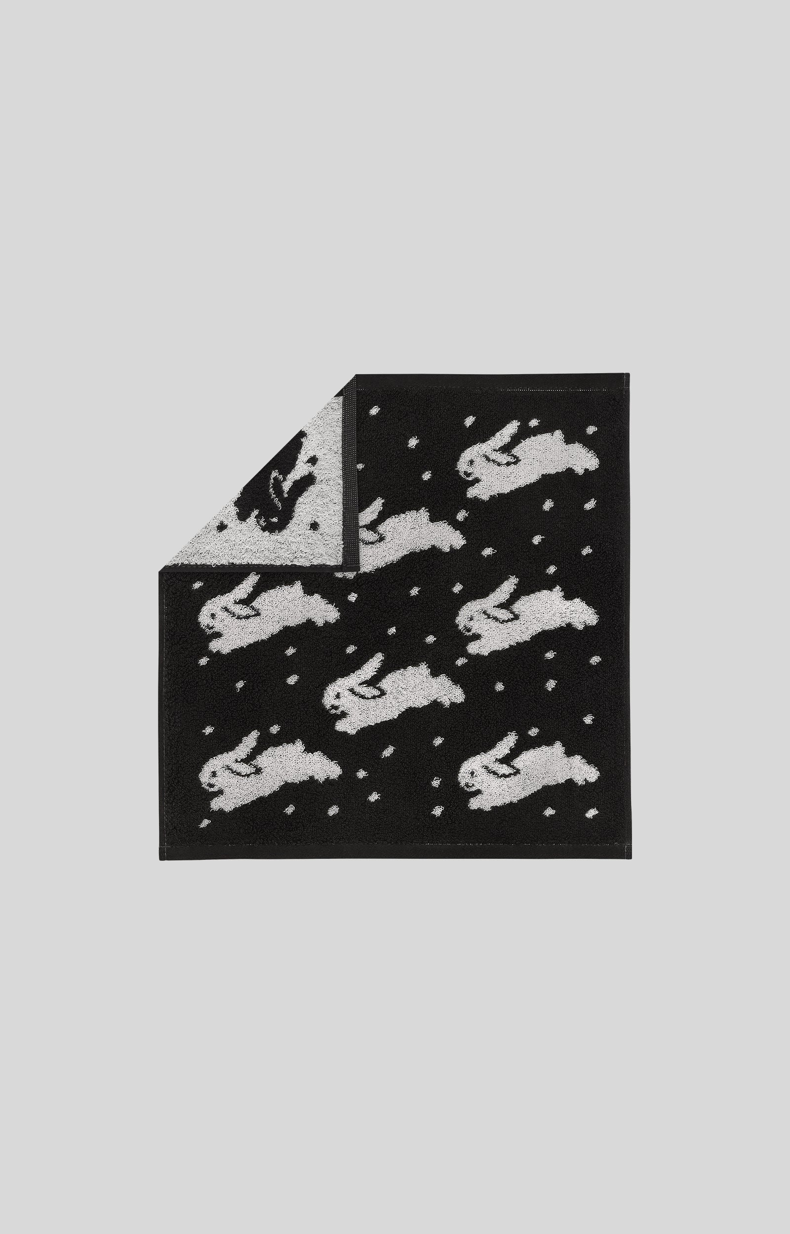 画像をスライド