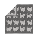 画像をスライド