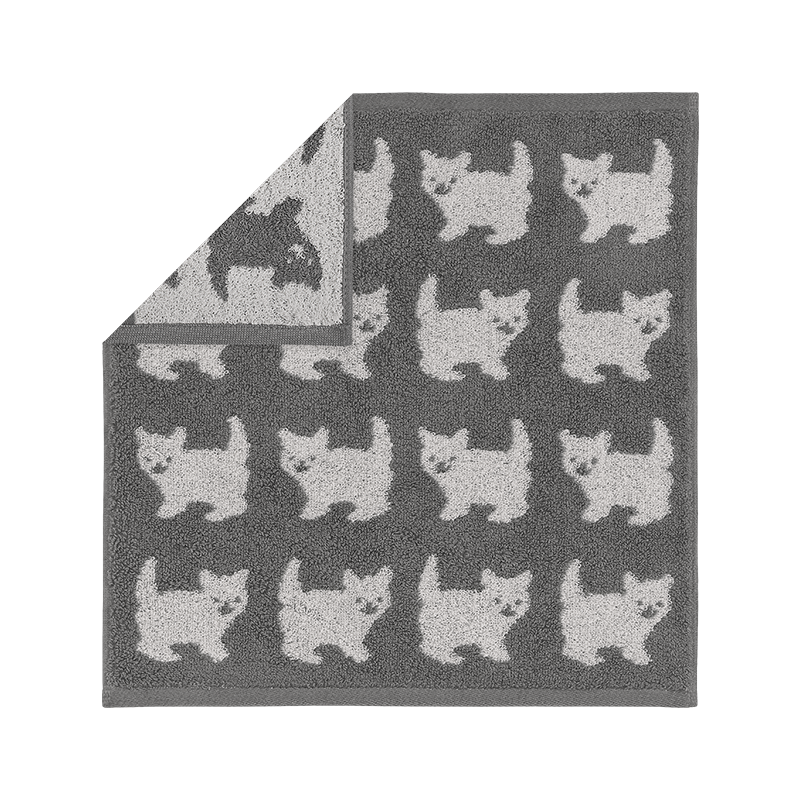 画像をスライド