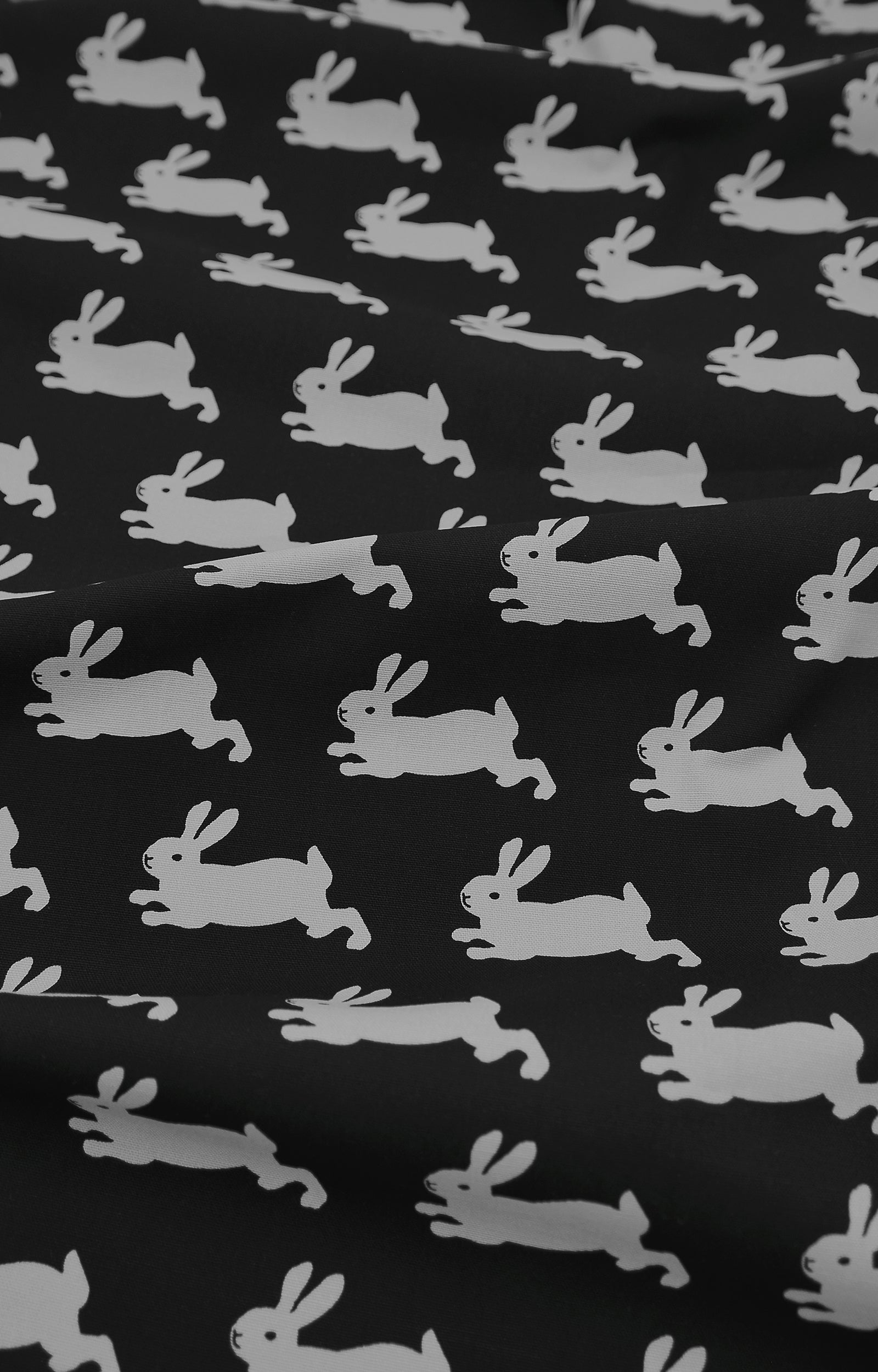 画像をスライド