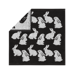 画像をスライド