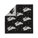 画像をスライド