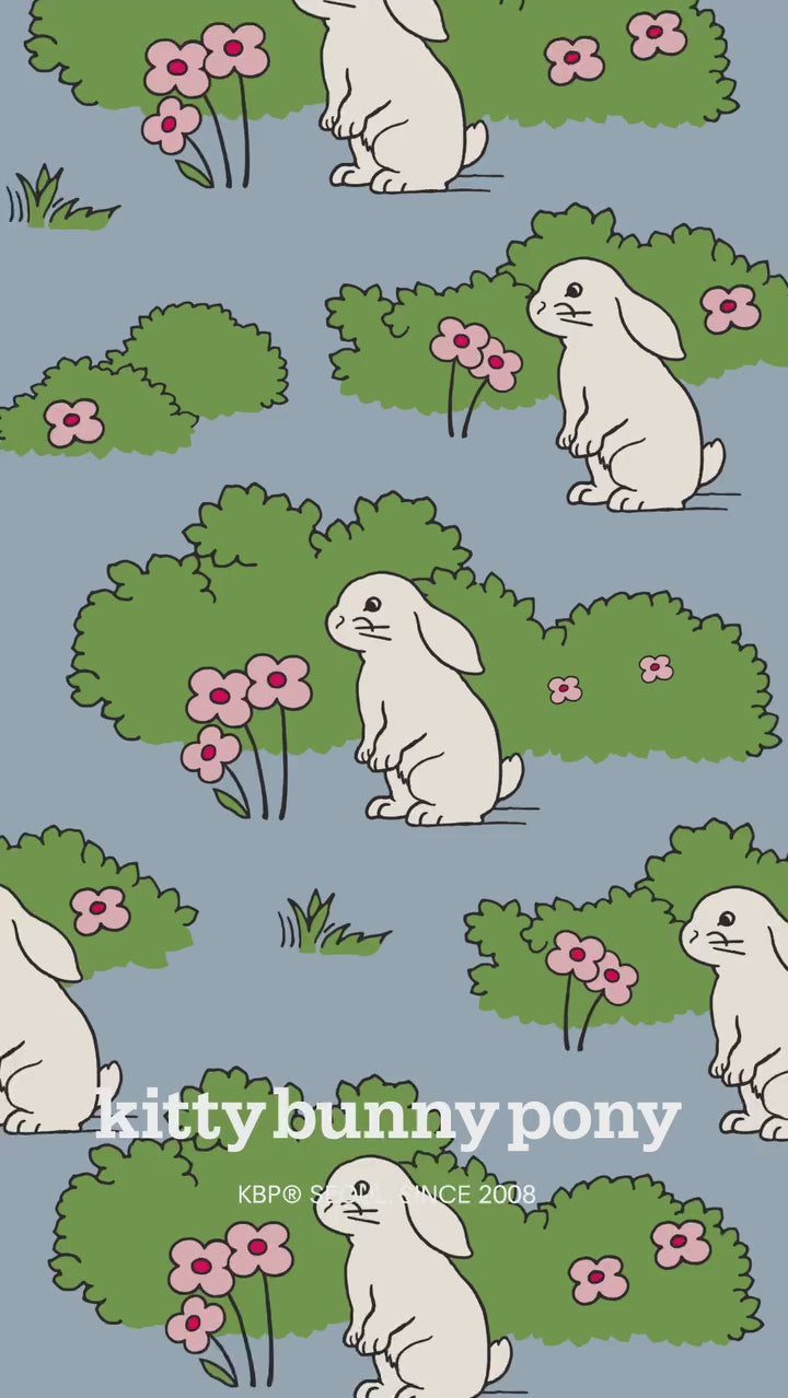 画像をスライド